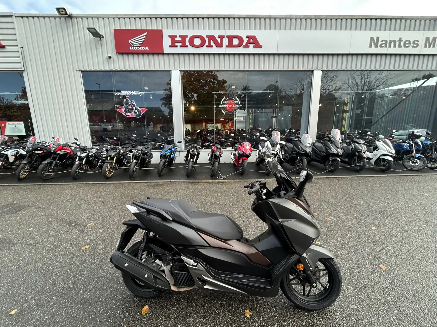 Honda Gris - 1