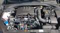 Kia Ceed / cee'd 1.0 T-GDI (48V Mild-Hybrid) DCT7 Ultimate Edition Gris - thumbnail 5
