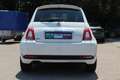 Fiat 500 1.0 Mild Hybrid Rockstar OPF (EURO 6d) Weiß - thumbnail 5