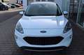 Ford Kuga Cool & Connect Plug-in Hybrid Winterp. AHK Weiß - thumbnail 4