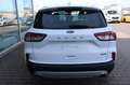Ford Kuga Cool & Connect Plug-in Hybrid Winterp. AHK Weiß - thumbnail 9