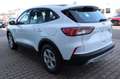 Ford Kuga Cool & Connect Plug-in Hybrid Winterp. AHK Weiß - thumbnail 7