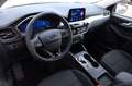 Ford Kuga Cool & Connect Plug-in Hybrid Winterp. AHK Weiß - thumbnail 15