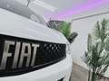 Fiat Scudo Doppelkabine XL BlueHDi 180 AUT. VOLLAUSSTATTUNG! Weiß - thumbnail 5