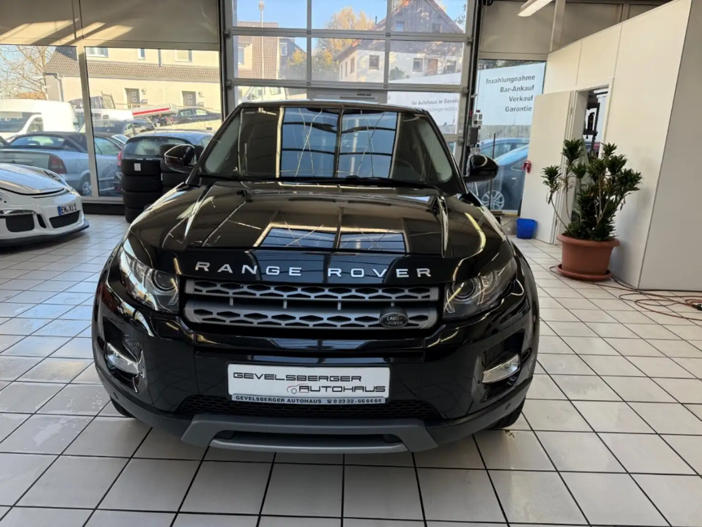 Land Rover Range Rover Evoque Pure 2.2 TD4 *Scheckheft* 19  Zoll Noir - 2