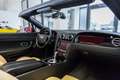 Bentley Continental GTC ~Munsterhuis Sportscars~ Noir - thumbnail 7