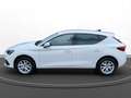 SEAT Leon 1.5 eTSI Style PDC LED KAM Sitzh. Weiß - thumbnail 5