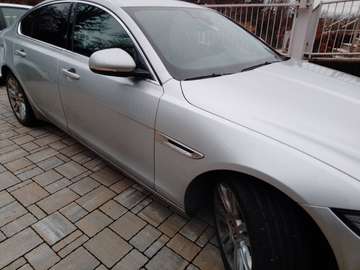 XF II Berlina 2.0d i4 Portfolio 240cv auto my18