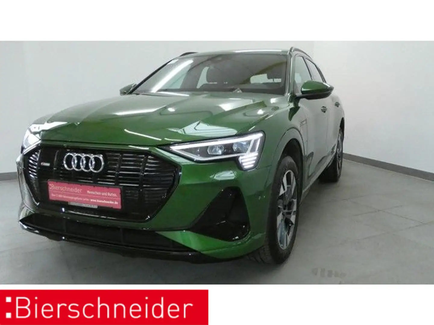 Audi e-tron 50 qu S-Line exclusive AHK PANO MEMORY Verde - 1
