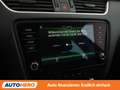Skoda Octavia 2.0 TDI Style 4x4 Grau - thumbnail 22