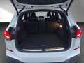 BMW X1 xDrive25i M Sport Facelift RFK H&K HUD ACC Pano Weiß - thumbnail 12