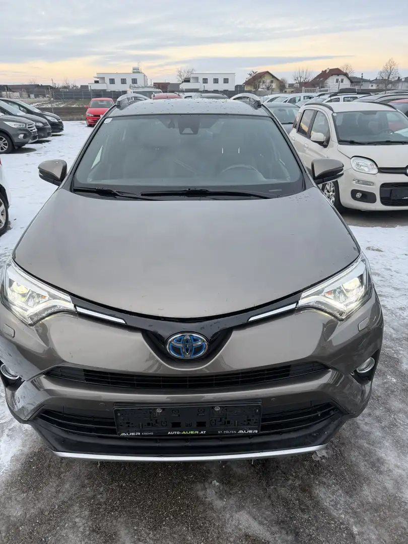 Toyota RAV 4 hybrid 4WD Braun - 2