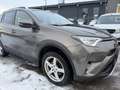 Toyota RAV 4 hybrid 4WD Braun - thumbnail 3