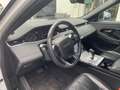 Land Rover Range Rover Evoque 2.0d i4 mhev S awd 150cv auto Weiß - thumbnail 7