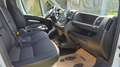 Peugeot Boxer Kasten / 35 L3H2 Diesel Euro 6d-TEMP BlueHDi 140 S&S Weiß - thumbnail 3
