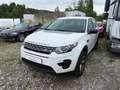 Land Rover Discovery Sport Pure Белый - thumbnail 1