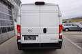 Opel Movano L3H2 Kastenwagen 35+ BlueHDi 140 Weiß - thumbnail 11