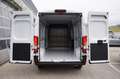 Opel Movano L3H2 Kastenwagen 35+ BlueHDi 140 Weiß - thumbnail 12