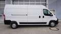 Opel Movano L3H2 Kastenwagen 35+ BlueHDi 140 Weiß - thumbnail 2