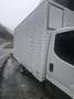 Iveco Daily 35 C 14 - thumbnail 2