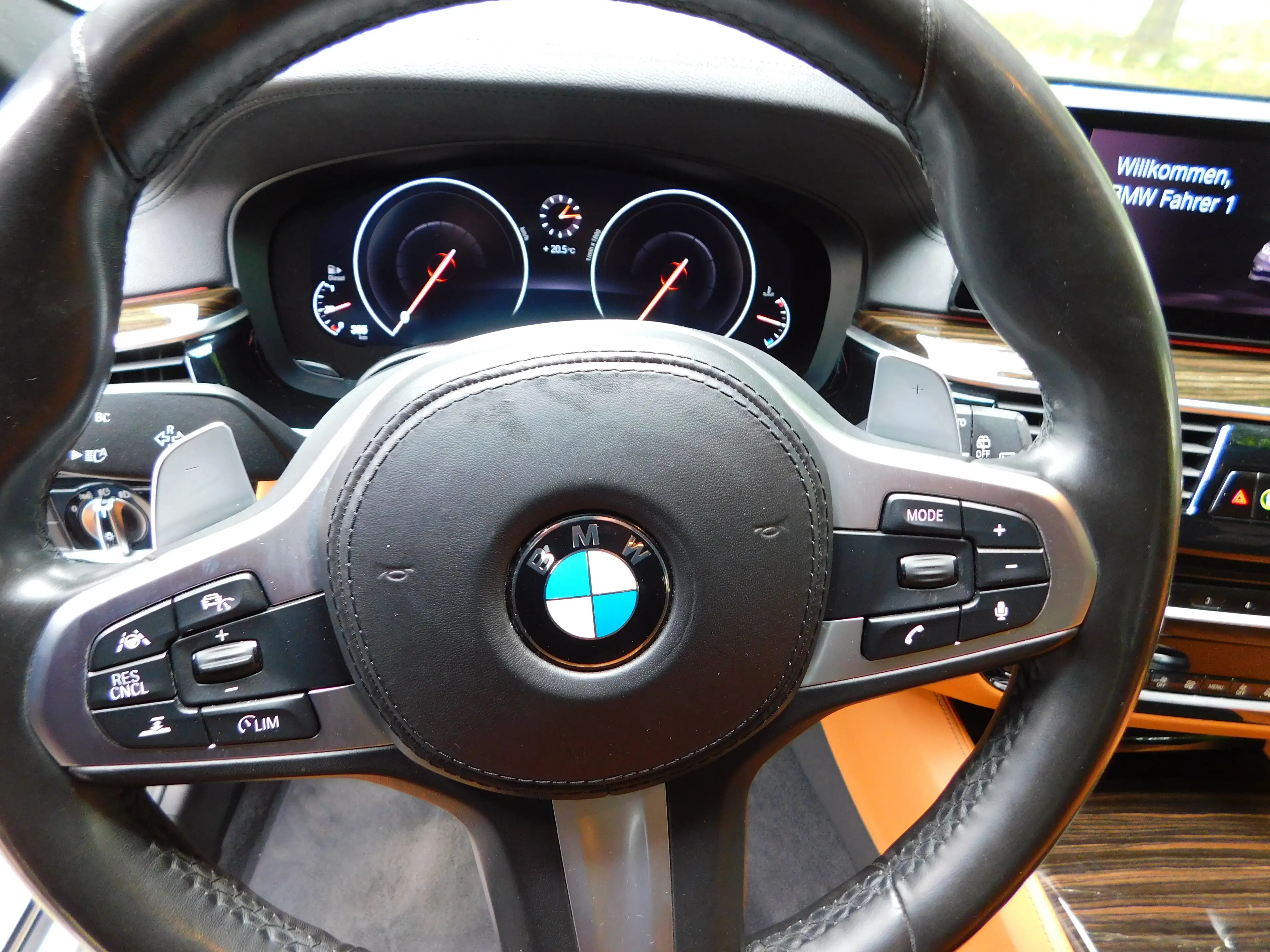 BMW 525 525 d Luxury Line — photo 9
