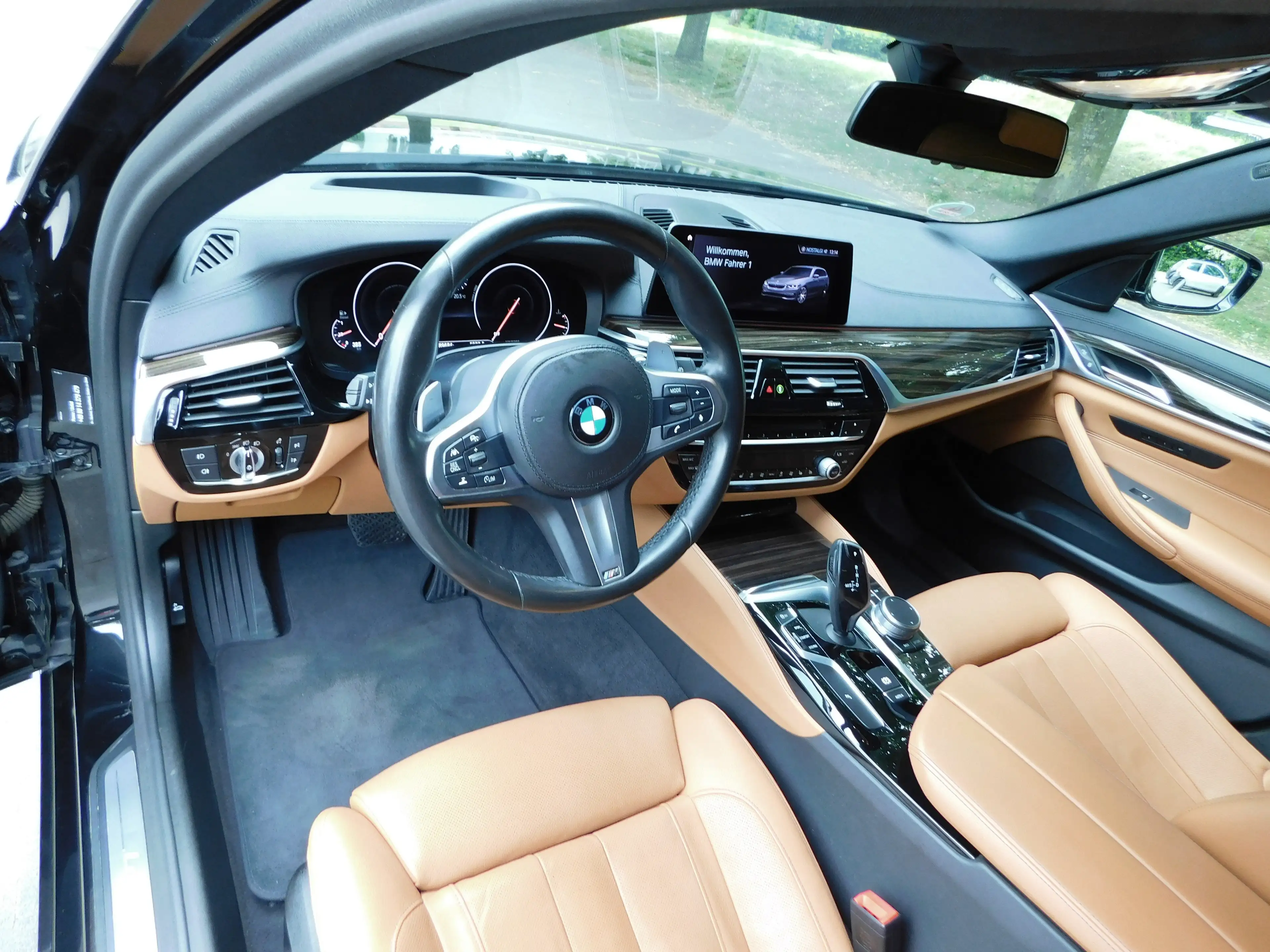 BMW 525 525 d Luxury Line — photo 8