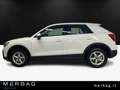 Audi Q2 40 TFSI quattro S tronic Bianco - thumbnail 6