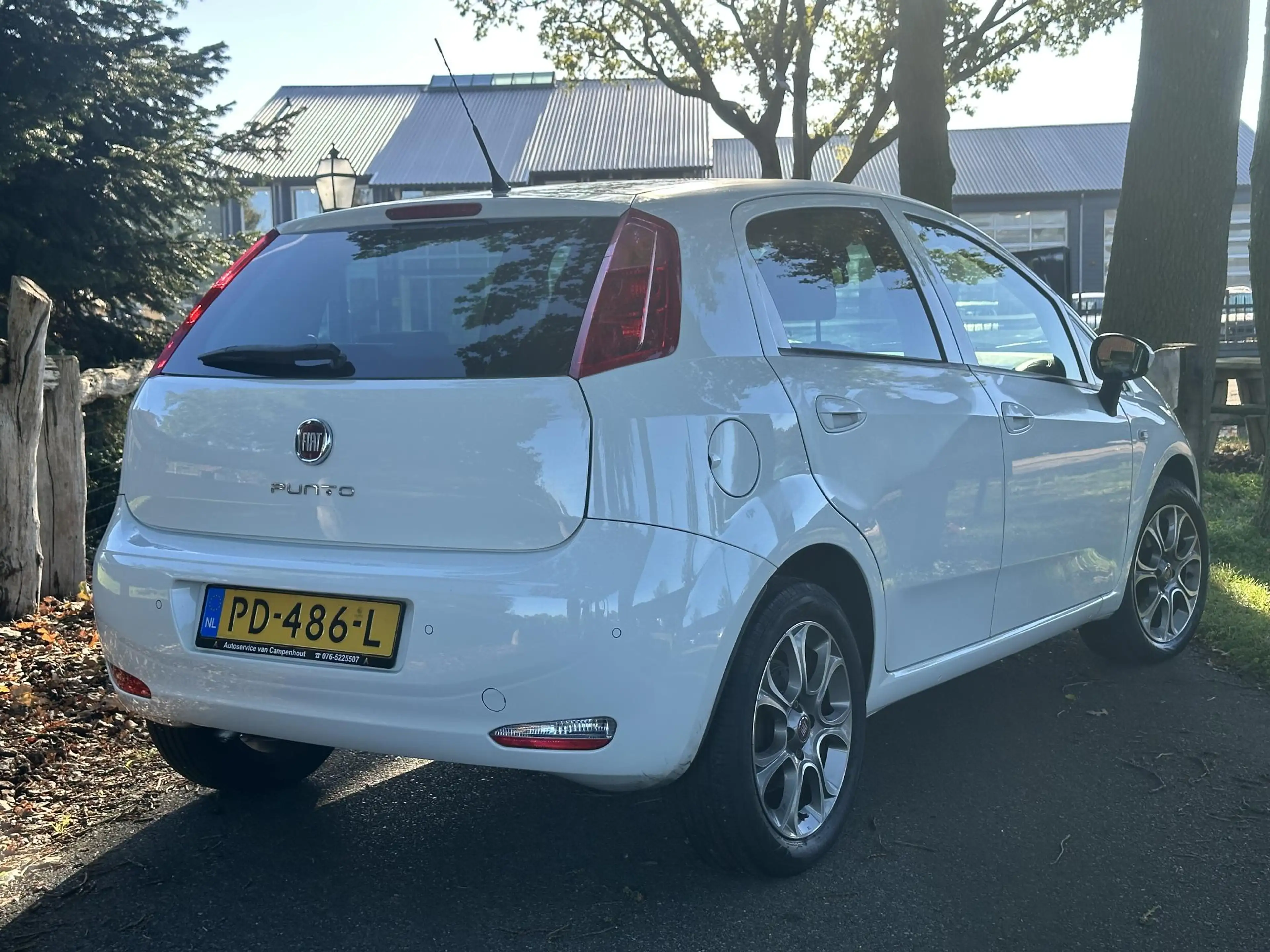Fiat Punto Evo 0.9 TwinAir Sempre — photo 5