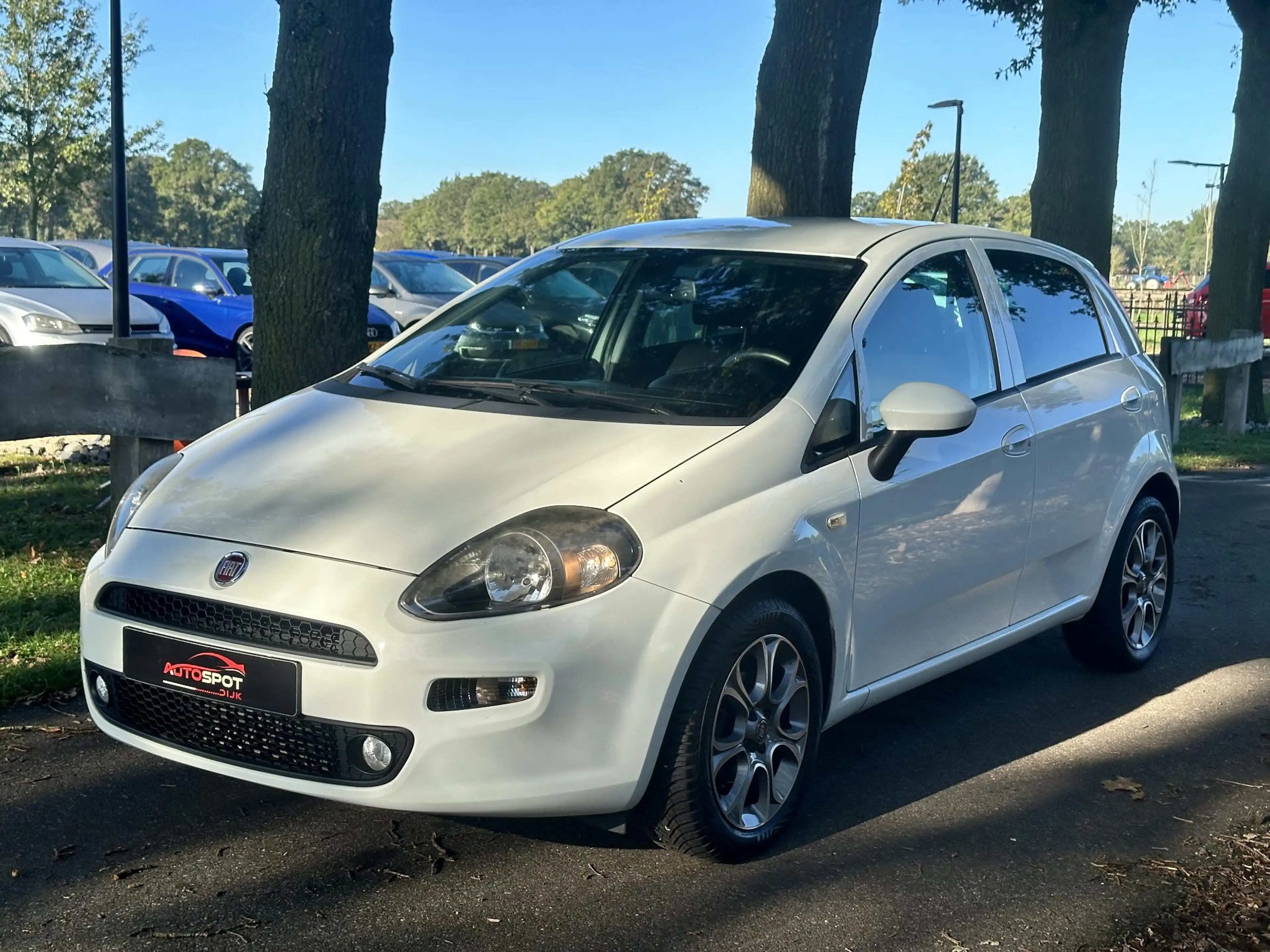 Fiat Punto Evo 0.9 TwinAir Sempre — photo 7