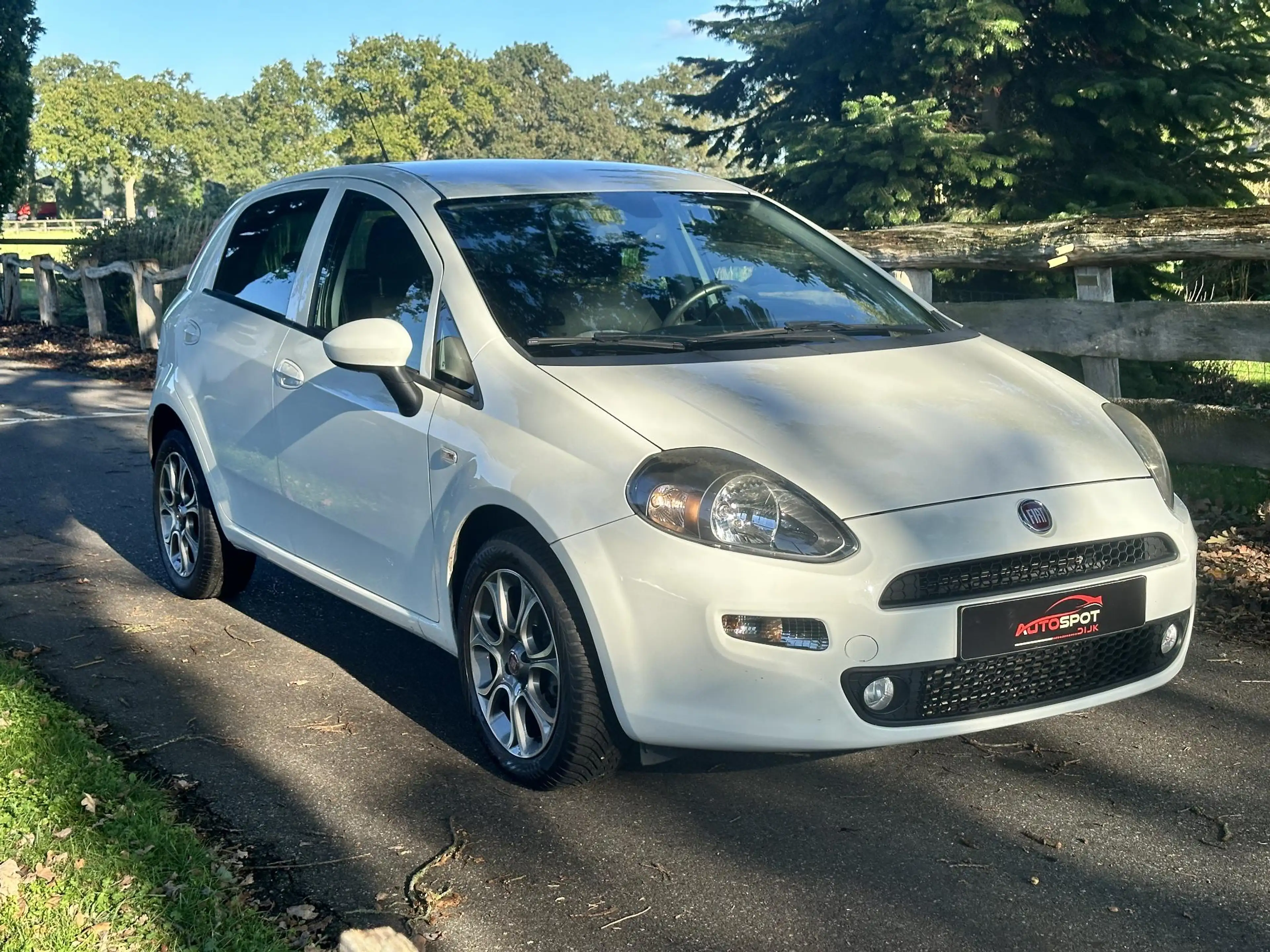 Fiat Punto Evo 0.9 TwinAir Sempre — photo 8