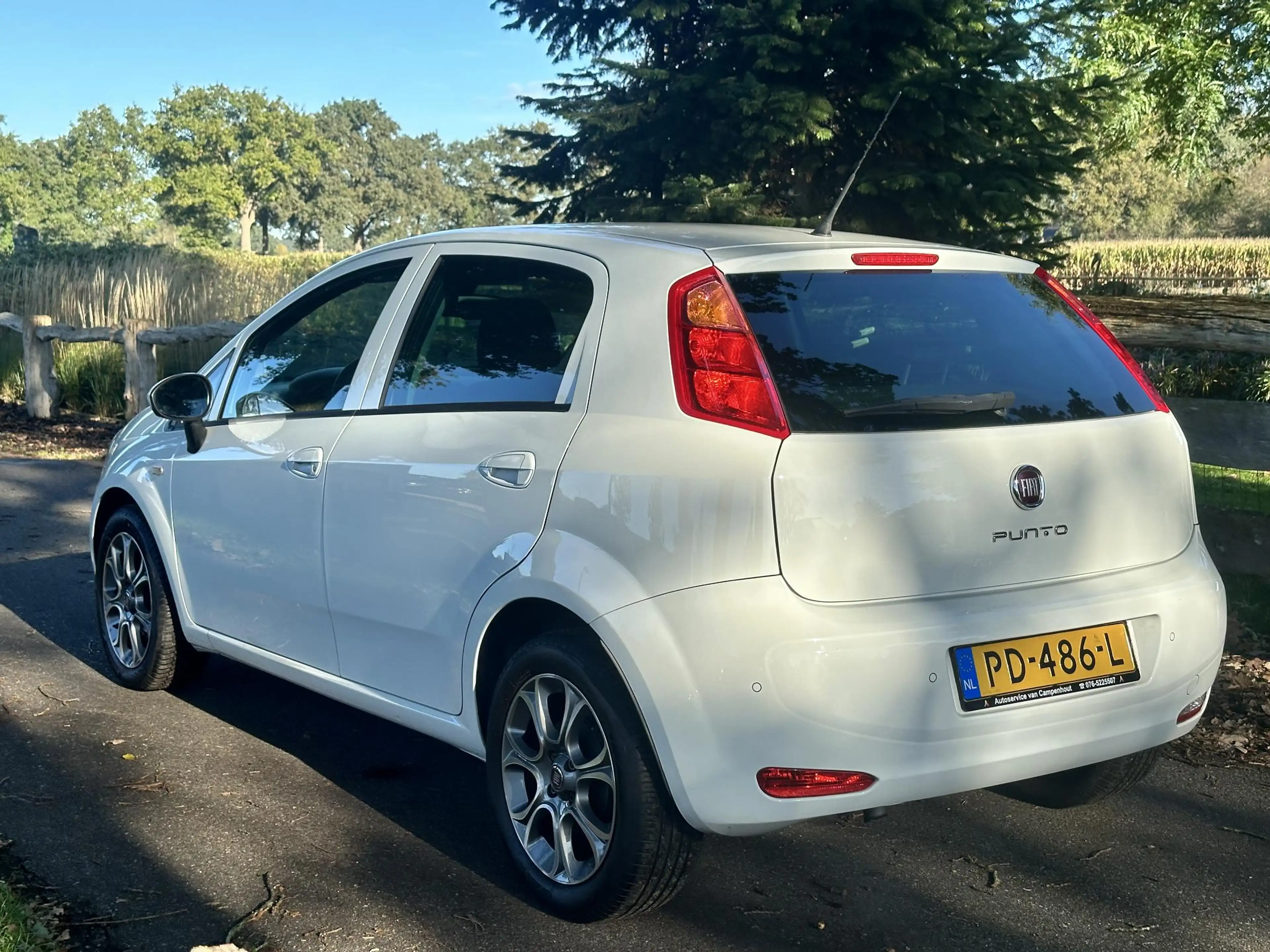 Fiat Punto Evo 0.9 TwinAir Sempre — photo 14