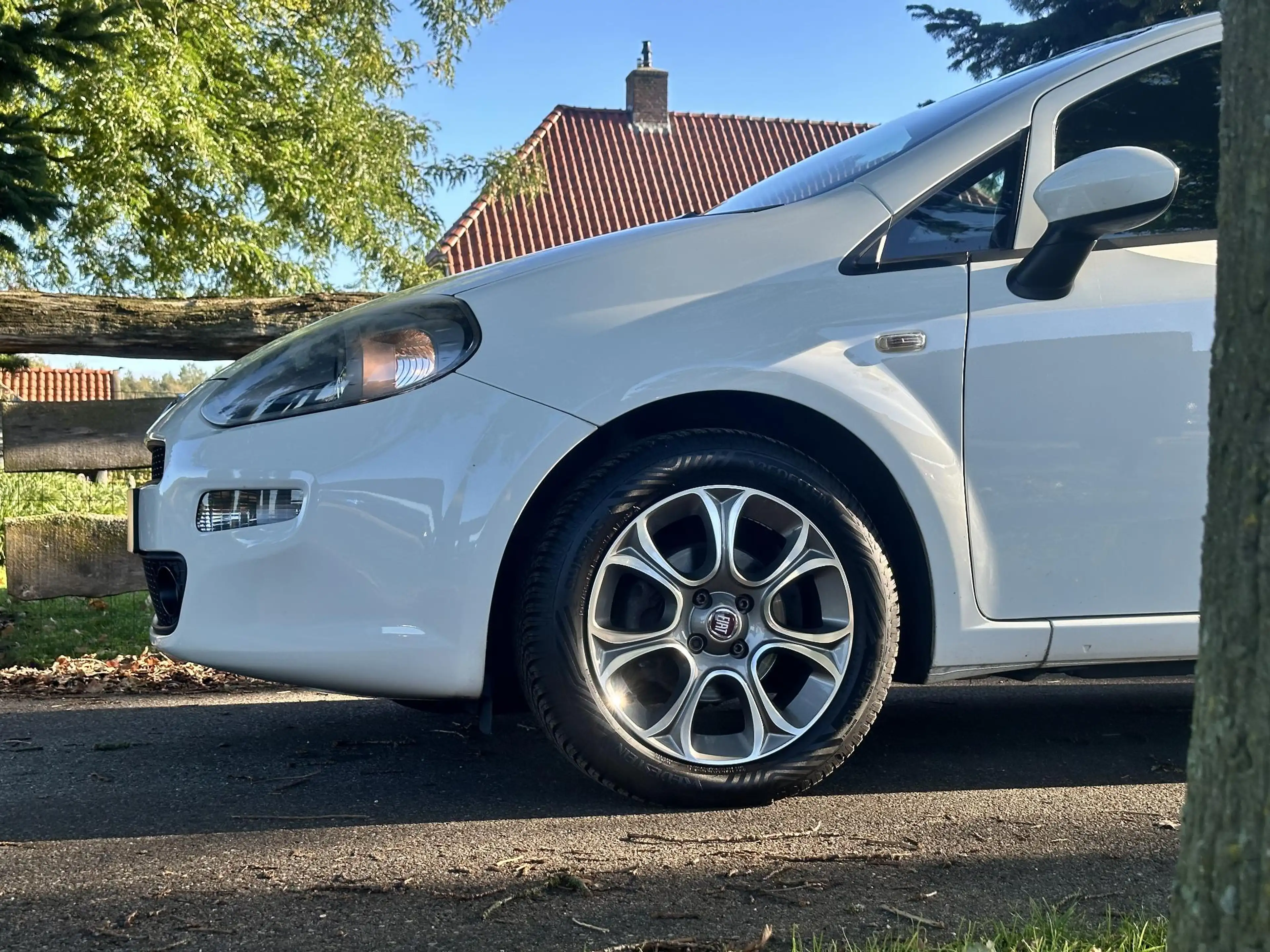 Fiat Punto Evo 0.9 TwinAir Sempre — photo 15