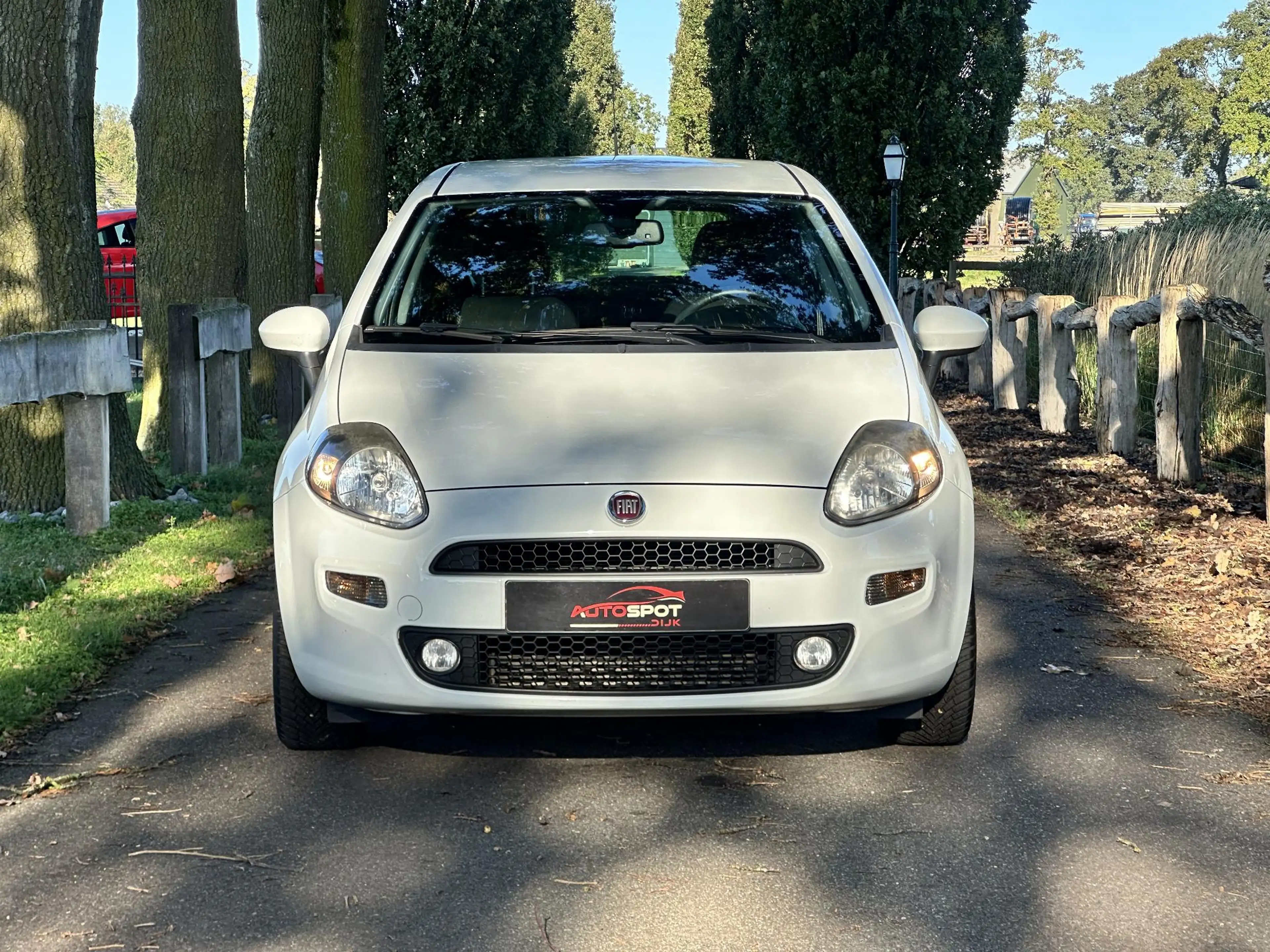 Fiat Punto Evo 0.9 TwinAir Sempre — photo 6