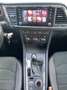 SEAT Ateca Ateca 1.6 tdi Xcellence dsg Weiß - thumbnail 14