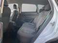 SEAT Ateca Ateca 1.6 tdi Xcellence dsg Weiß - thumbnail 10