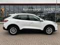 Ford Kuga 2.5 PHEV e-CVT 225pk Titanium / Navi / Led-verlich Weiß - thumbnail 37
