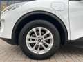 Ford Kuga 2.5 PHEV e-CVT 225pk Titanium / Navi / Led-verlich Weiß - thumbnail 4