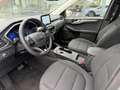Ford Kuga 2.5 PHEV e-CVT 225pk Titanium / Navi / Led-verlich Weiß - thumbnail 35