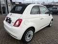 Fiat 500 C 1.0 GSE Hybrid Dolcevita Weiß - thumbnail 5