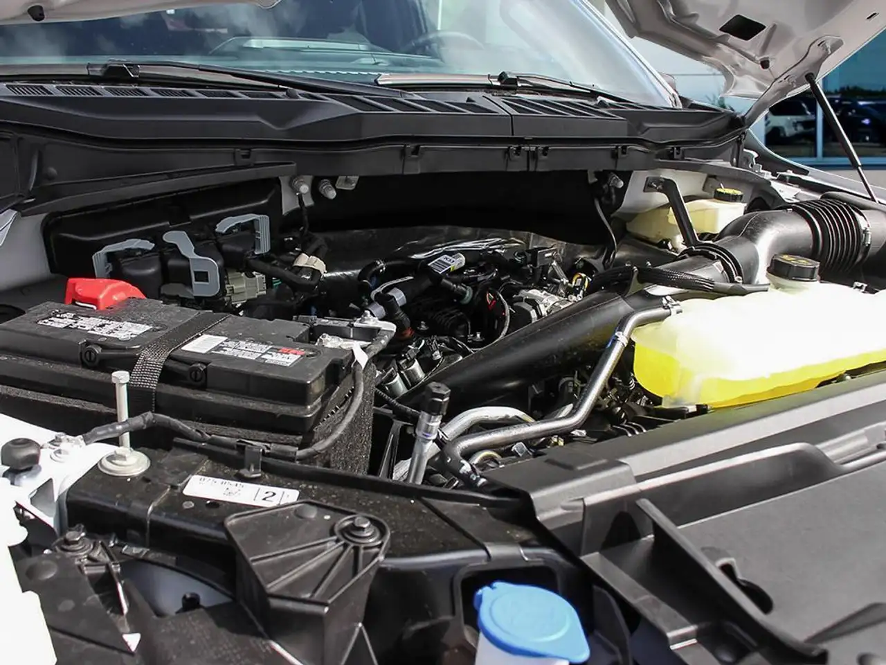 Ford F 150 fotografie Ford F 150