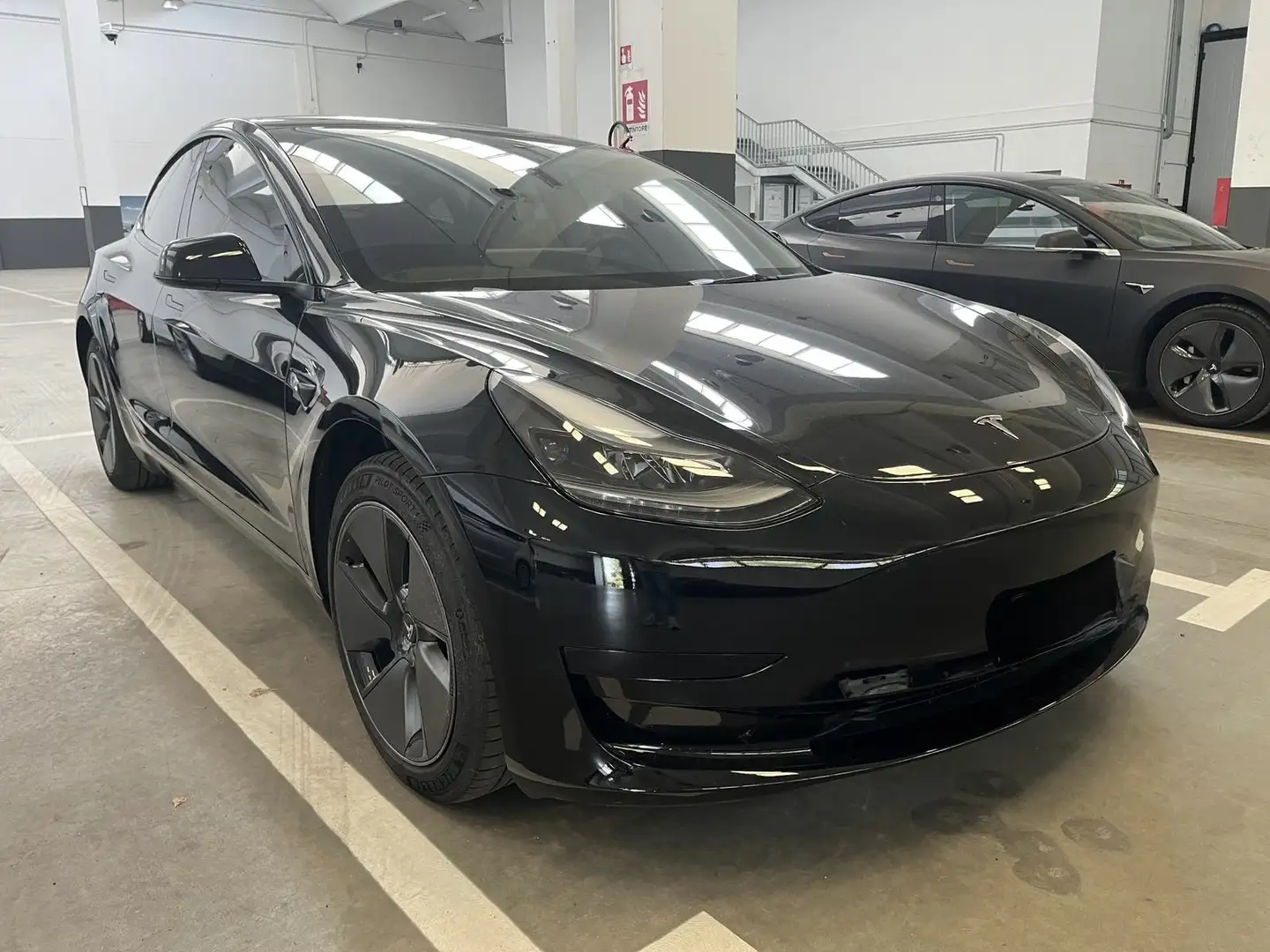 Tesla Model 3 Standard rwd Plus - 2