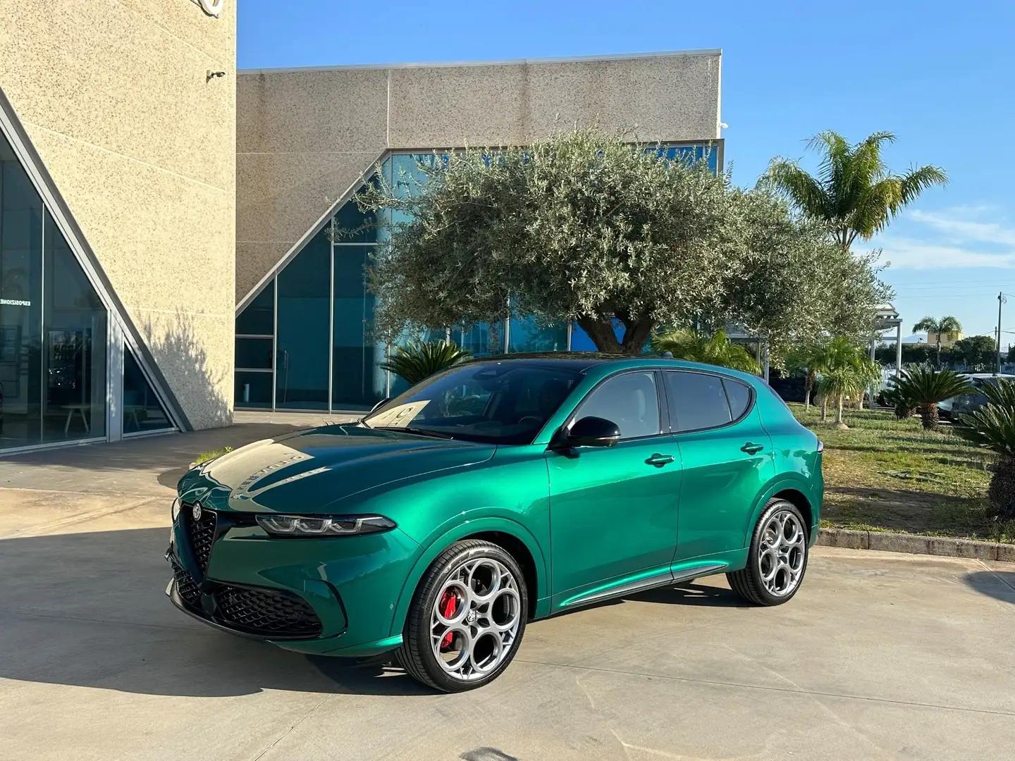 Alfa Romeo Tonale 1.5 Tributo possibilità noleggio no scoring Verde - 2