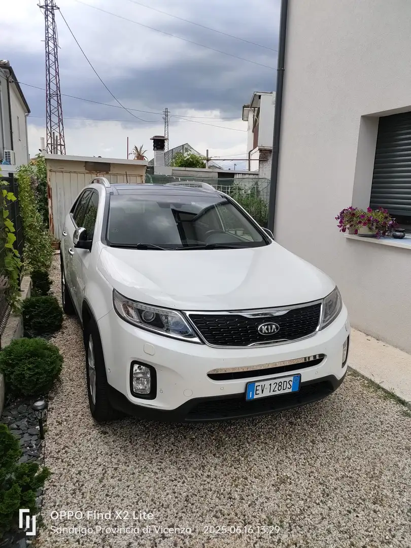 Kia Sorento 2.2 crdi 16v Platinum Awd 5p.ti auto - 2