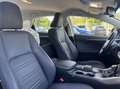 Lexus NX 300 Hybrid 4WD Luxury Сірий - thumbnail 9