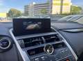 Lexus NX 300 Hybrid 4WD Luxury Gris - thumbnail 13