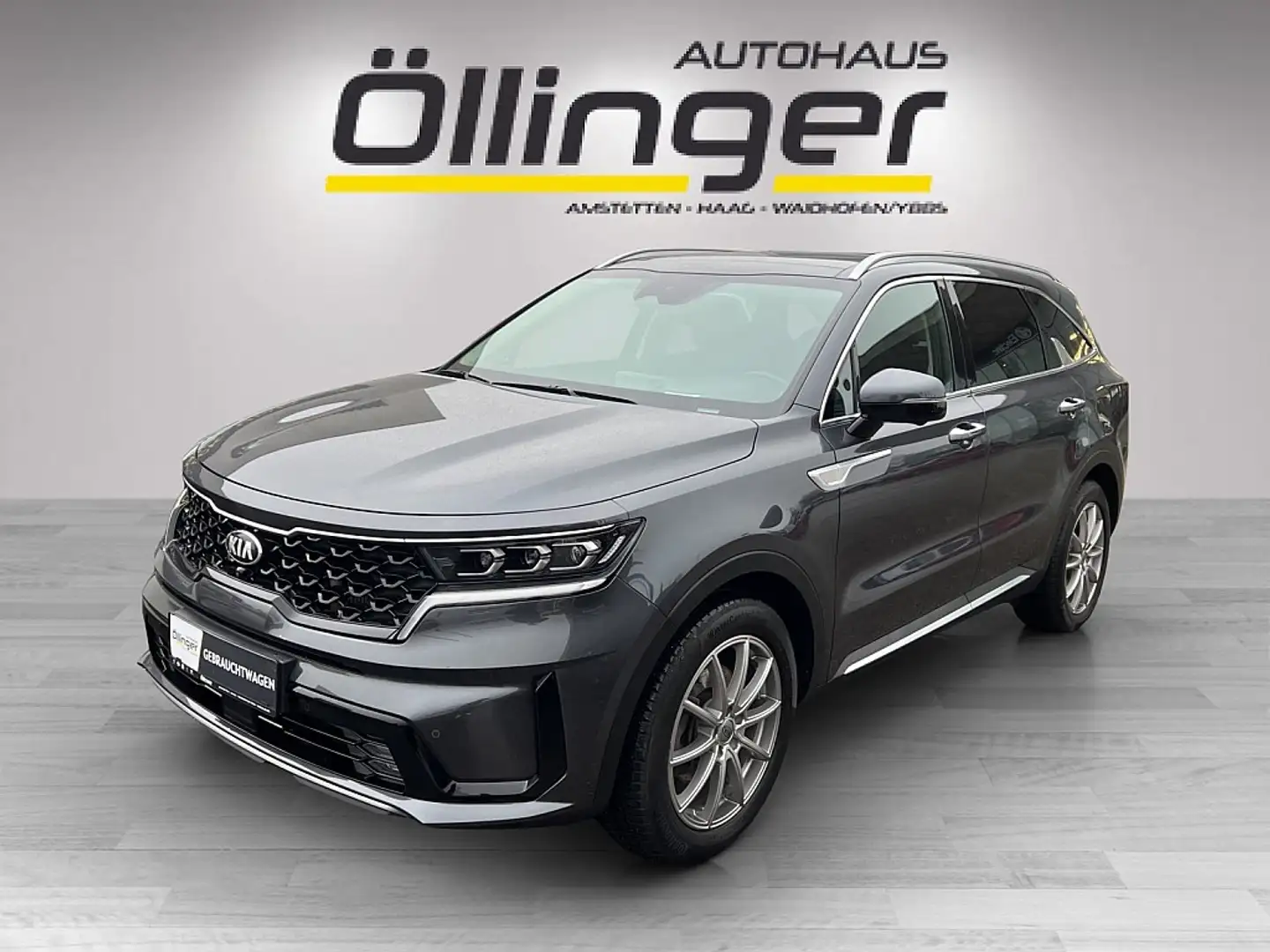 Kia Sorento 1,6 T-GDI Plug-In Hybrid GPF AWD Gold Aut. Grau - 1