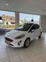 Ford Fiesta 1.0 EcoBoost Titanium X *Pano*Parkeercamera*Automa Wit - thumbnail 1