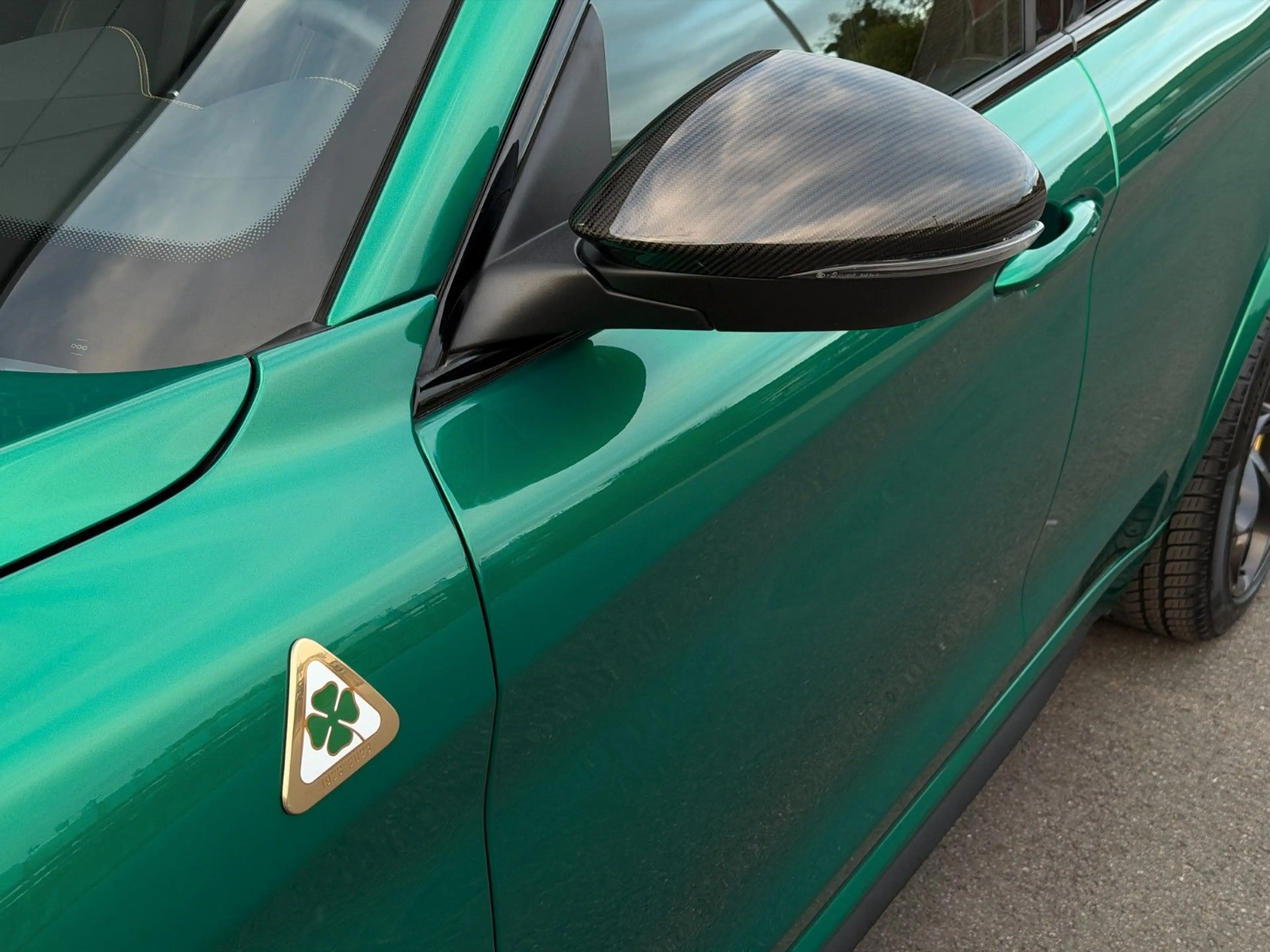 Alfa Romeo Stelvio Quadrifoglio 1 of 100 Anniversario — photo 10