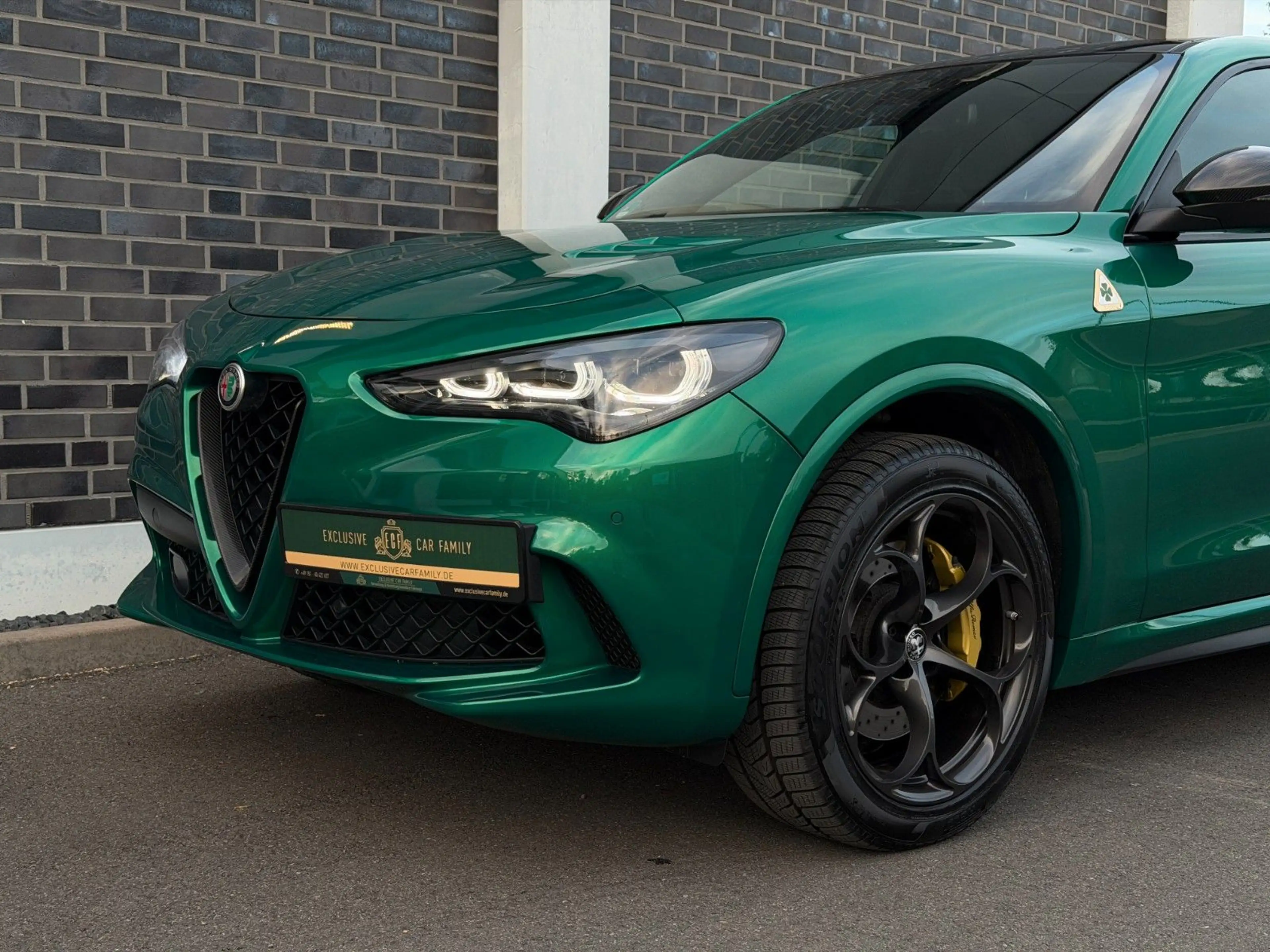 Alfa Romeo Stelvio Quadrifoglio 1 of 100 Anniversario — photo 9