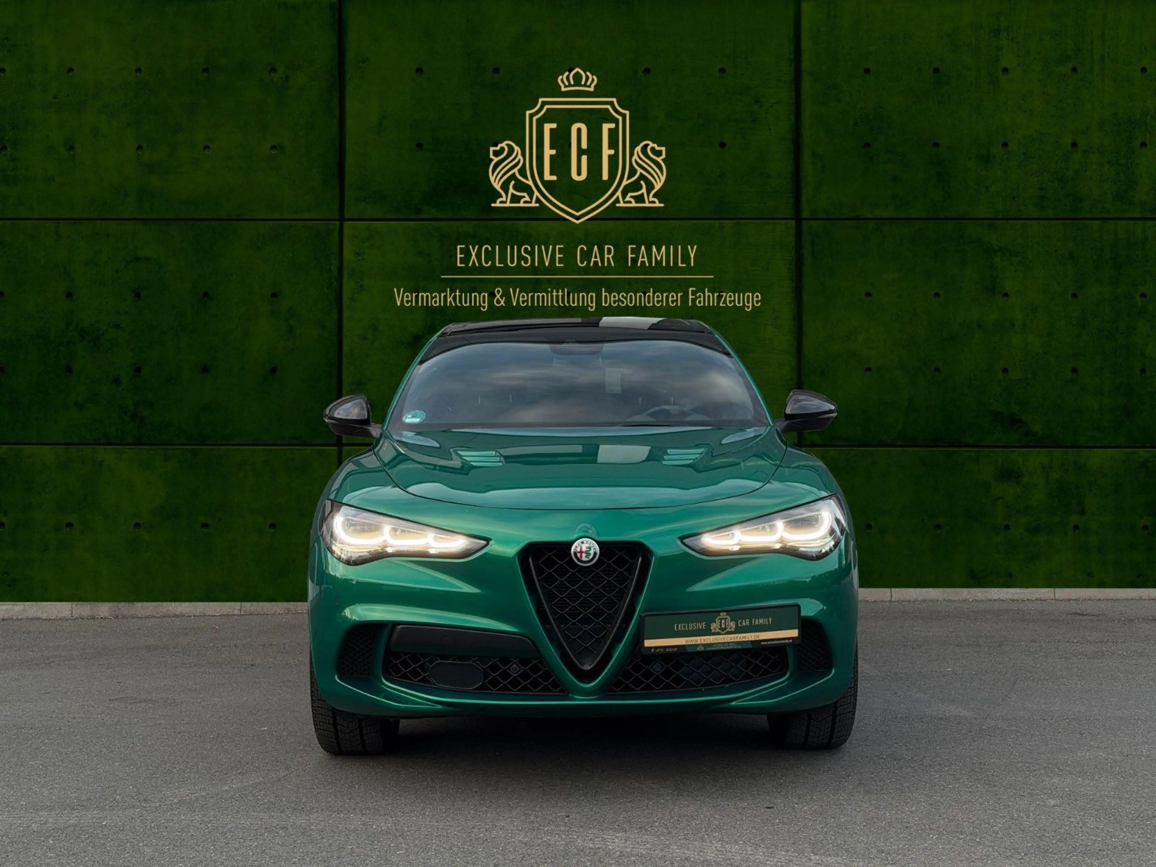 Alfa Romeo Stelvio Quadrifoglio 1 of 100 Anniversario — photo 2